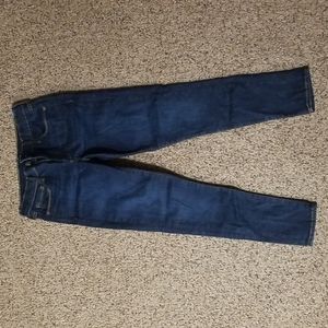 Gap Women's True Skiny Jean